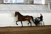 CA_Springfest19_Sun_3095