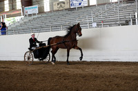 CA_Springfest19_Sun_3100