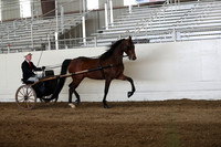 CA_Springfest19_Sun_3101