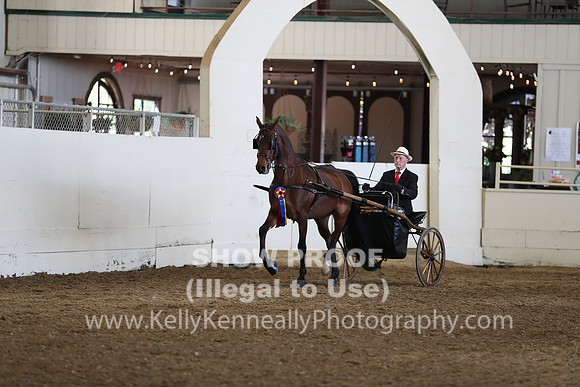 CA_Springfest19_Sun_3105