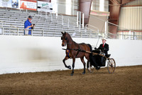 CA_Springfest19_Sun_3110