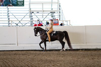 Class 90 Morgan Hunt Seat Equitation Championship