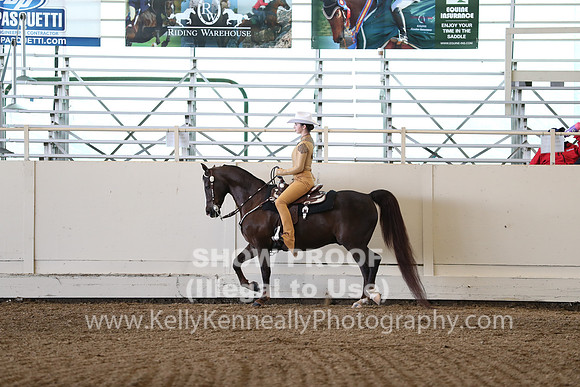 CA_Springfest19_Sun_3121