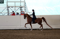 Class 91 ASB Three Gaited Show Pleasure Junior Exhibitor Championship