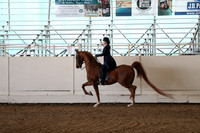 CA_Springfest19_Sun_3162