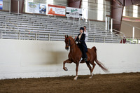 CA_Springfest19_Sun_3166