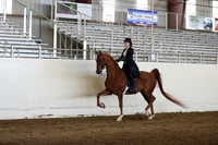 CA_Springfest19_Sun_3167