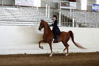CA_Springfest19_Sun_3168