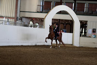 CA_Springfest19_Sun_3180