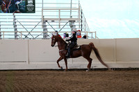 Class 93 ASB Western Country Pleasure Stake