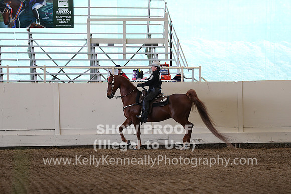 CA_Springfest19_Sun_3191