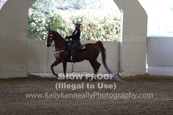 CA_Springfest19_Sun_3193