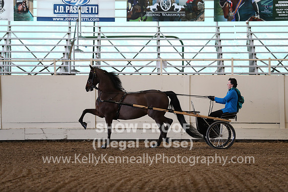CA_Springfest19_Sun_3223