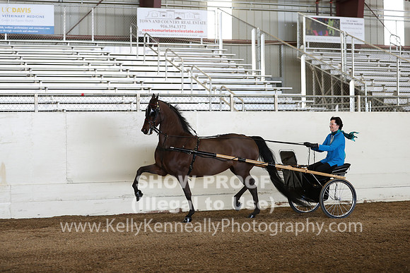 CA_Springfest19_Sun_3225