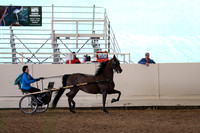 CA_Springfest19_Sun_3228