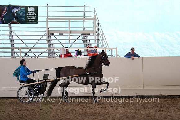 CA_Springfest19_Sun_3228