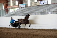 CA_Springfest19_Sun_3233