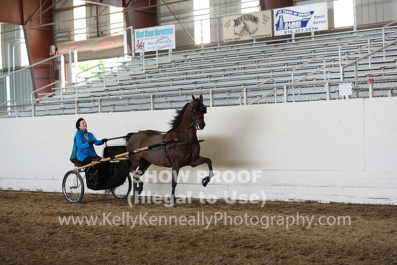 CA_Springfest19_Sun_3233