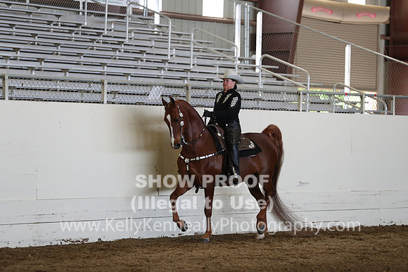 CA_Springfest19_Sun_3202