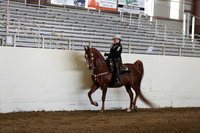 CA_Springfest19_Sun_3203