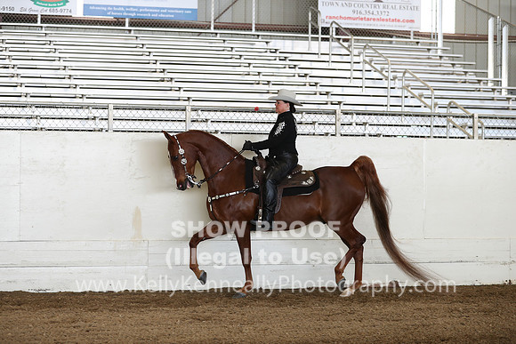 CA_Springfest19_Sun_3205