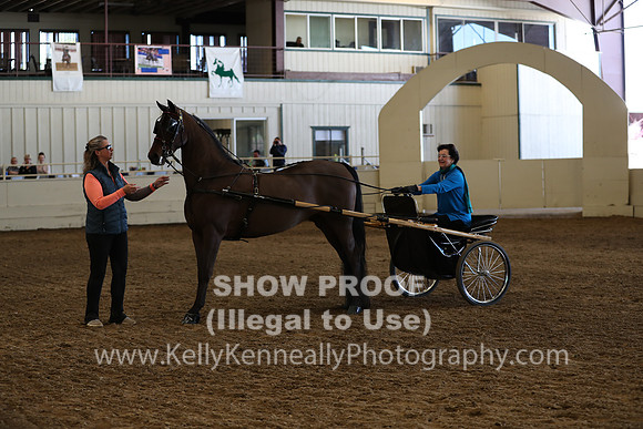 CA_Springfest19_Sun_3239