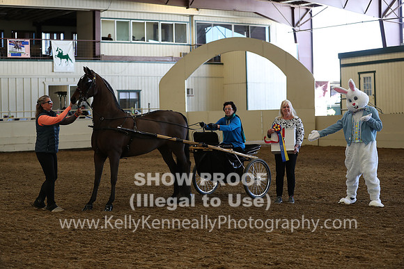 CA_Springfest19_Sun_3240
