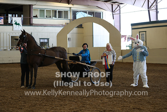 CA_Springfest19_Sun_3243