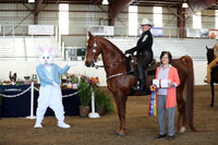CA_Springfest19_Sun_3208