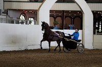 CA_Springfest19_Sun_3247
