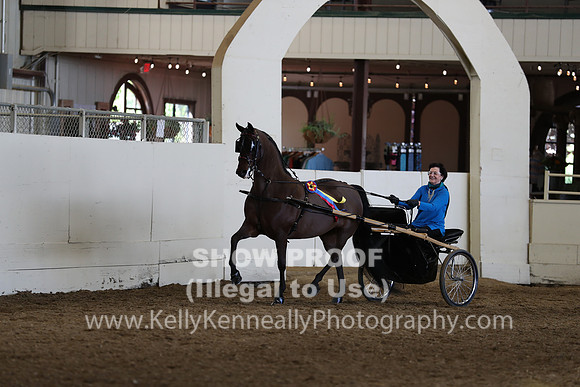 CA_Springfest19_Sun_3247