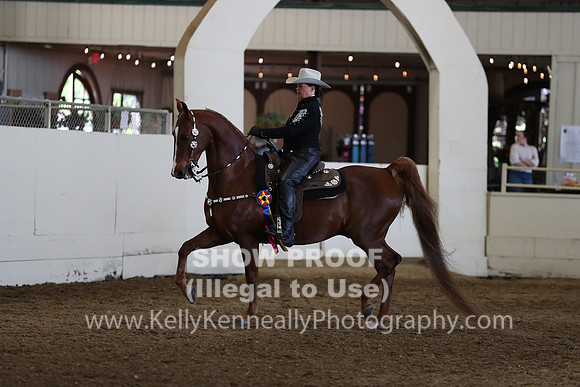 CA_Springfest19_Sun_3211