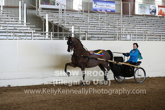 CA_Springfest19_Sun_3253