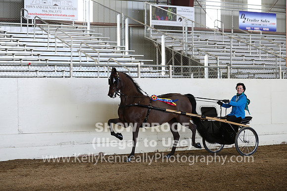 CA_Springfest19_Sun_3255