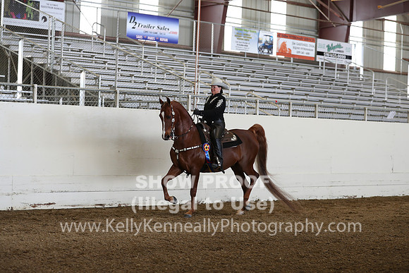 CA_Springfest19_Sun_3215