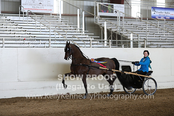 CA_Springfest19_Sun_3256