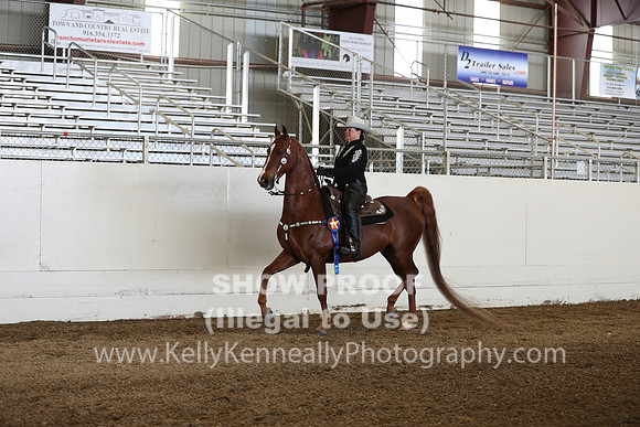 CA_Springfest19_Sun_3216
