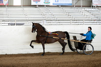 CA_Springfest19_Sun_3260