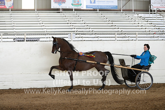 CA_Springfest19_Sun_3260