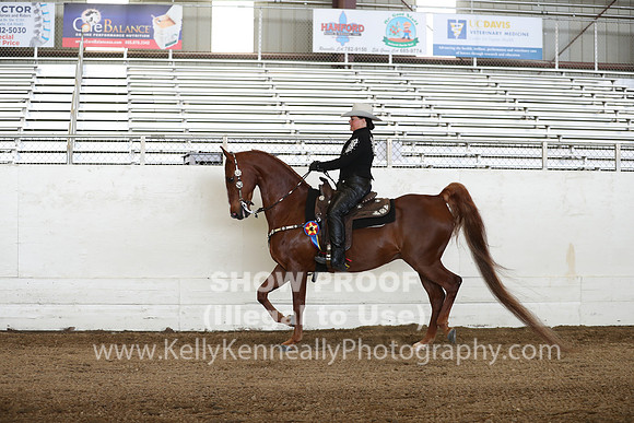 CA_Springfest19_Sun_3219