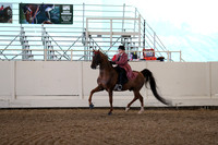Class 96 ASB Three Gaited Show Pleasure Adult Stake