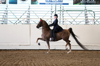 CA_Springfest19_Sun_3285