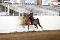 CA_Springfest19_Sun_3292
