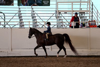 Class 97 Walk Trot Pleasure 12 & Under Stake Any Breed Any Seat