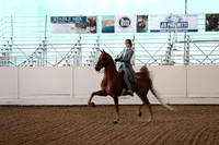 Class 99 Saddle Seat Equitation Championship