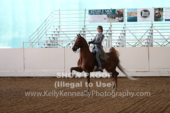 CA_Springfest19_Sun_3444