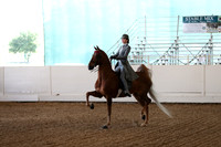 CA_Springfest19_Sun_3445