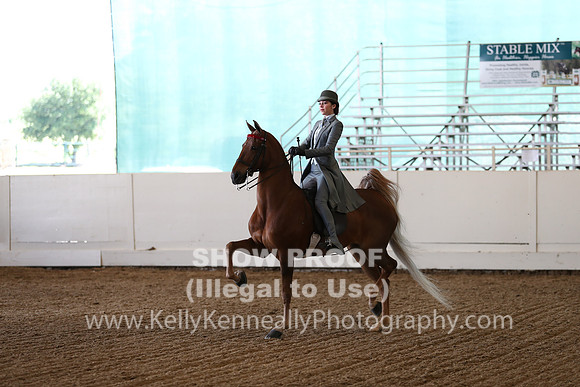 CA_Springfest19_Sun_3445