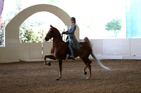 CA_Springfest19_Sun_3446