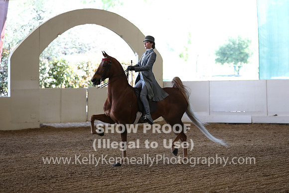 CA_Springfest19_Sun_3446